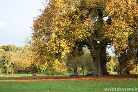 Autumn in Swindon 2008